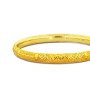 Radiant Livia Charm Gold Bangles