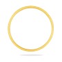 Radiant Livia Charm Gold Bangles