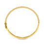 Farohar Barisha Gold Bangles