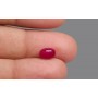 Natural Ruby 2.33 Carat