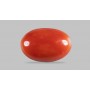 Natural Red Coral 7.7 Carat