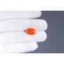 Natural Red Coral 7.7 Carat