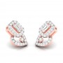 Exquisite Diamond Earrings