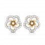 Rays In Eye Diamond Earrings