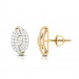 Beauty Classy Diamond Earrings