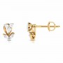 Delightful Diamond Studs